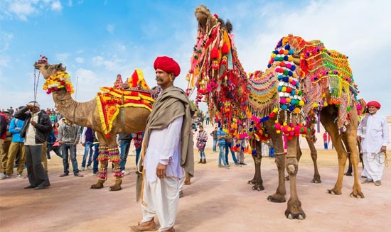 rajasthan-fort-palaces-with-pushkar-camel-fair